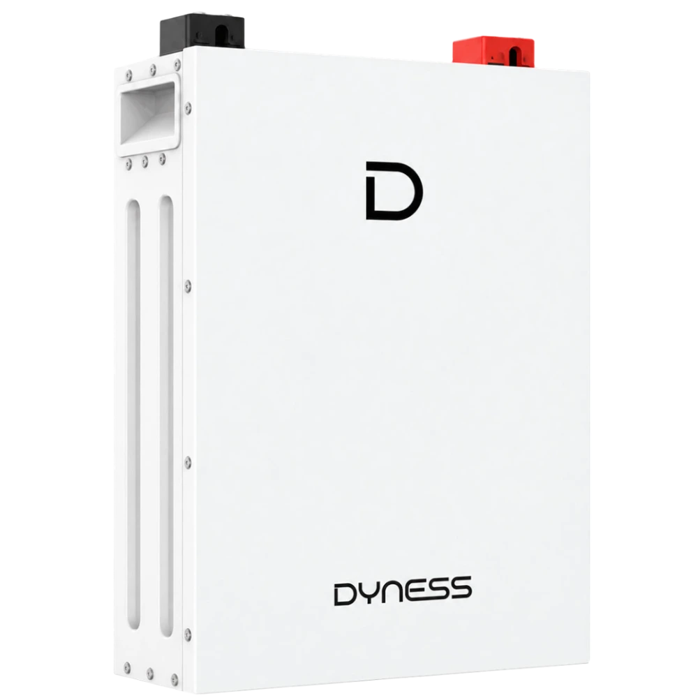 Літієва акумуляторна батарея Dyness DL5.0F 51.2V 100AH